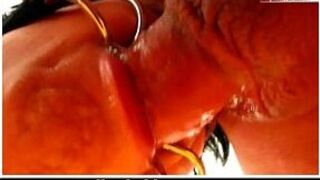 Tail tied in its mouth - porn video