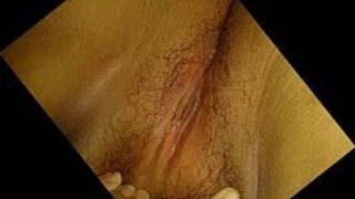 Wed Pussy of my beautifull girlfriend - porn video