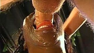 Steamy hot blow team fuck - porn video
