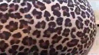 tight black pussywith white cock - porn video