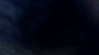 Suck My Dick Bitch - porn video