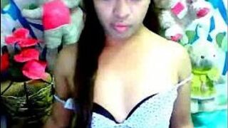 Asian Ladyboy Cock Stroking - porn video